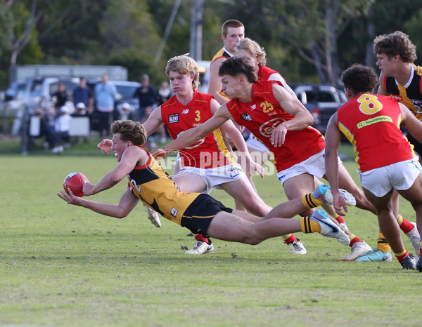 Coates League Boys 2024 Round 06 - Dandenong v Gold Coast SUNS Academy - A-48774819