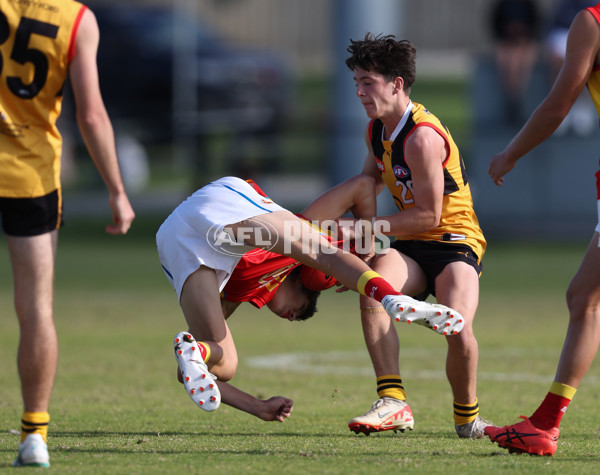 Coates League Boys 2024 Round 06 - Dandenong v Gold Coast SUNS Academy - A-48774836