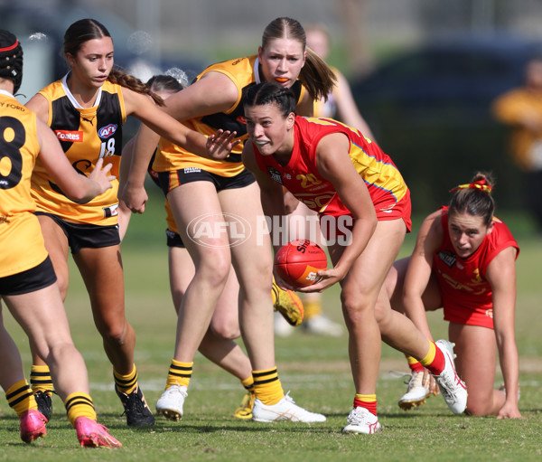 Coates League Girls 2024 Round 05 - Dandenong v Gold Coast SUNS Academy - A-48774860