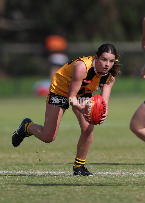 Coates League Girls 2024 Round 05 - Dandenong v Gold Coast SUNS Academy - A-48774861