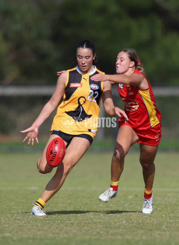 Coates League Girls 2024 Round 05 - Dandenong v Gold Coast SUNS Academy - A-48774864