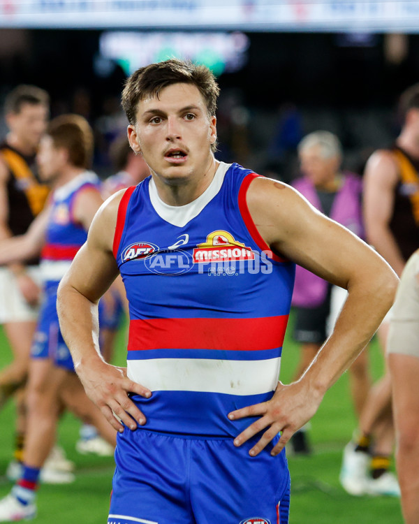 AFL 2024 Round 08 - Western Bulldogs v Hawthorn - A-48776864
