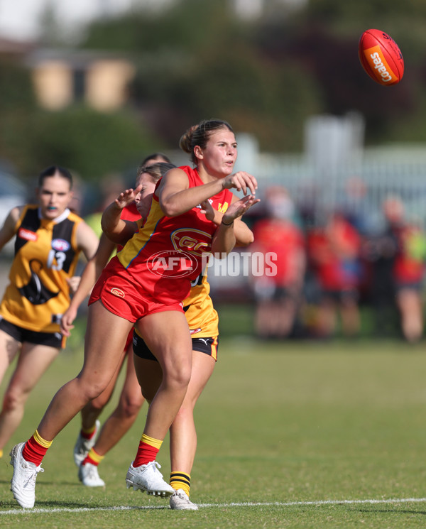 Coates League Girls 2024 Round 05 - Dandenong v Gold Coast SUNS Academy - A-48782507