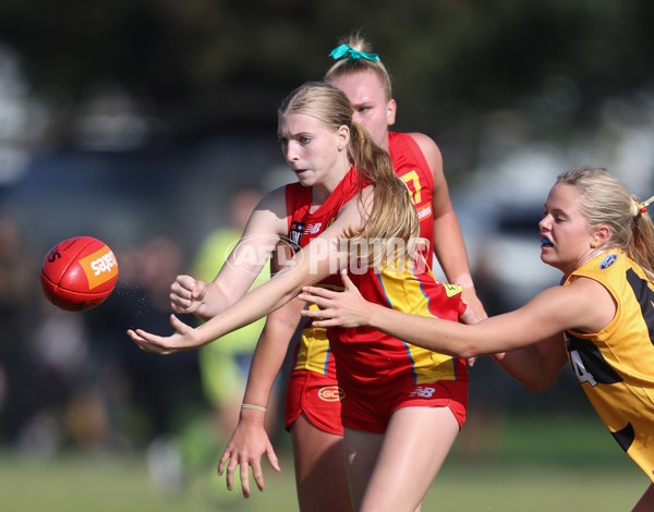 Coates League Girls 2024 Round 05 - Dandenong v Gold Coast SUNS Academy - A-48782509