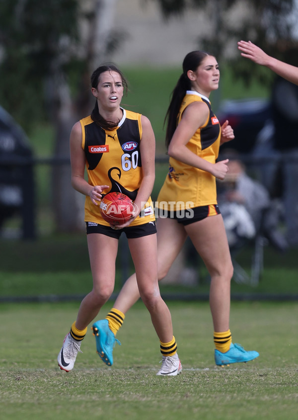 Coates League Girls 2024 Round 05 - Dandenong v Gold Coast SUNS Academy - A-48782511