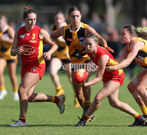 Coates League Girls 2024 Round 05 - Dandenong v Gold Coast SUNS Academy - A-48782512