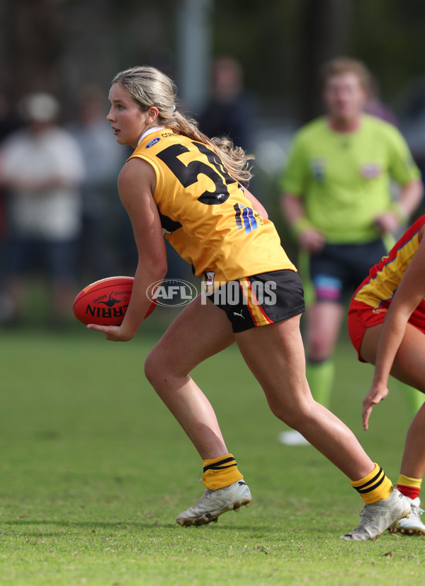 Coates League Girls 2024 Round 05 - Dandenong v Gold Coast SUNS Academy - A-48782588