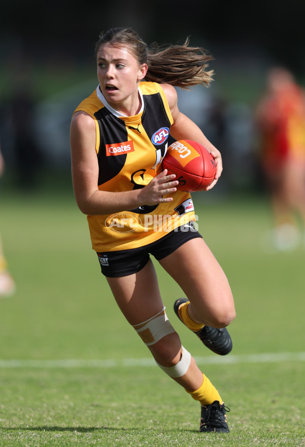 Coates League Girls 2024 Round 05 - Dandenong v Gold Coast SUNS Academy - A-48782592