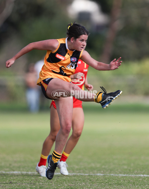 Coates League Girls 2024 Round 05 - Dandenong v Gold Coast SUNS Academy - A-48782704