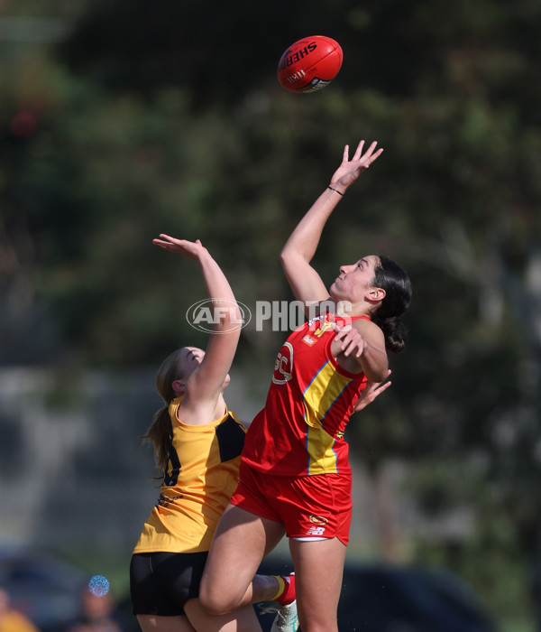 Coates League Girls 2024 Round 05 - Dandenong v Gold Coast SUNS Academy - A-48782706