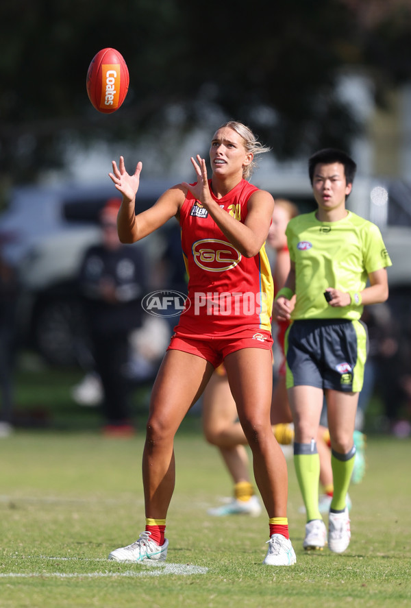 Coates League Girls 2024 Round 05 - Dandenong v Gold Coast SUNS Academy - A-48782707