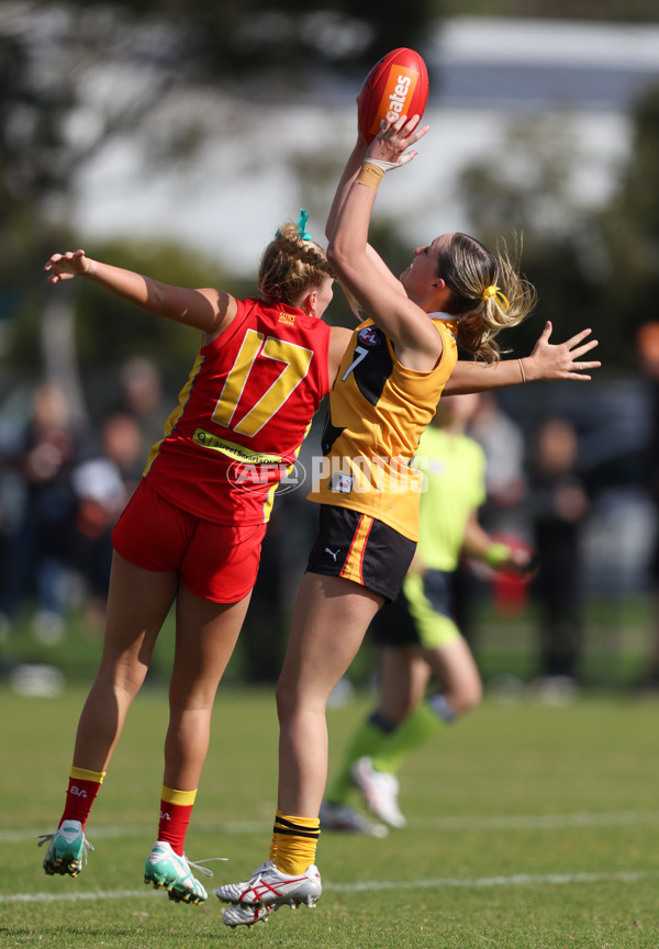 Coates League Girls 2024 Round 05 - Dandenong v Gold Coast SUNS Academy - A-48782760