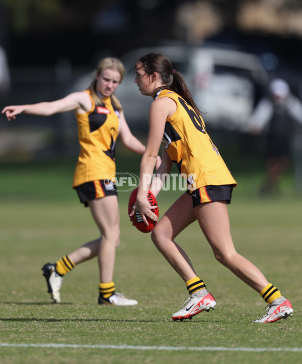 Coates League Girls 2024 Round 05 - Dandenong v Gold Coast SUNS Academy - A-48782761