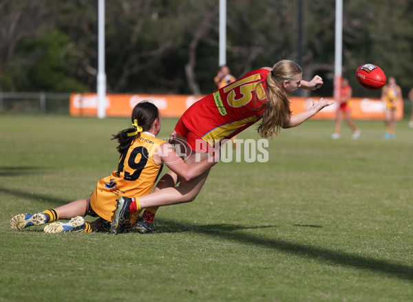 Coates League Girls 2024 Round 05 - Dandenong v Gold Coast SUNS Academy - A-48782762