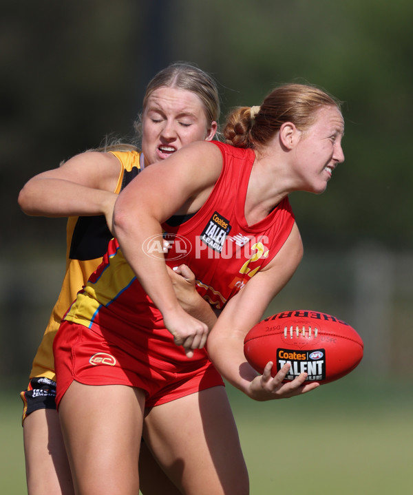 Coates League Girls 2024 Round 05 - Dandenong v Gold Coast SUNS Academy - A-48782764