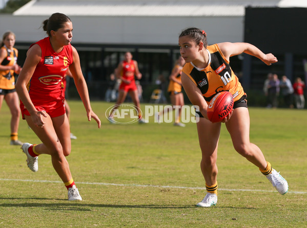 Coates League Girls 2024 Round 05 - Dandenong v Gold Coast SUNS Academy - A-48785023