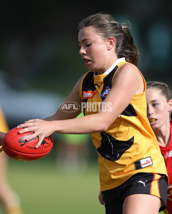 Coates League Girls 2024 Round 05 - Dandenong v Gold Coast SUNS Academy - A-48785024