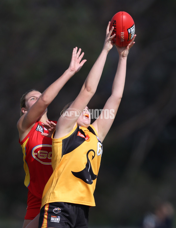 Coates League Girls 2024 Round 05 - Dandenong v Gold Coast SUNS Academy - A-48785025