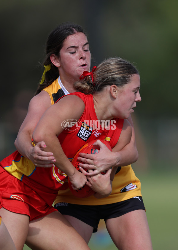 Coates League Girls 2024 Round 05 - Dandenong v Gold Coast SUNS Academy - A-48785030