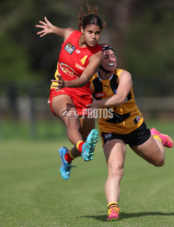 Coates League Girls 2024 Round 05 - Dandenong v Gold Coast SUNS Academy - A-48785086