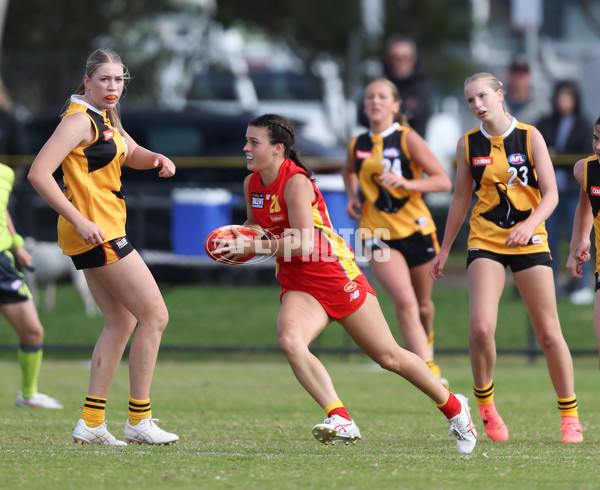 Coates League Girls 2024 Round 05 - Dandenong v Gold Coast SUNS Academy - A-48785087