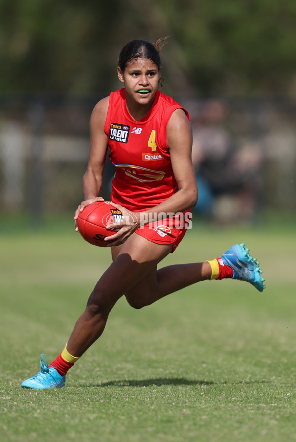 Coates League Girls 2024 Round 05 - Dandenong v Gold Coast SUNS Academy - A-48785088