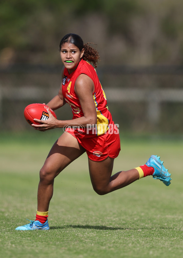 Coates League Girls 2024 Round 05 - Dandenong v Gold Coast SUNS Academy - A-48785089