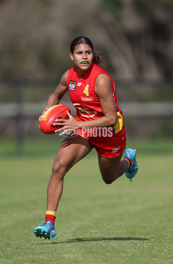 Coates League Girls 2024 Round 05 - Dandenong v Gold Coast SUNS Academy - A-48785090