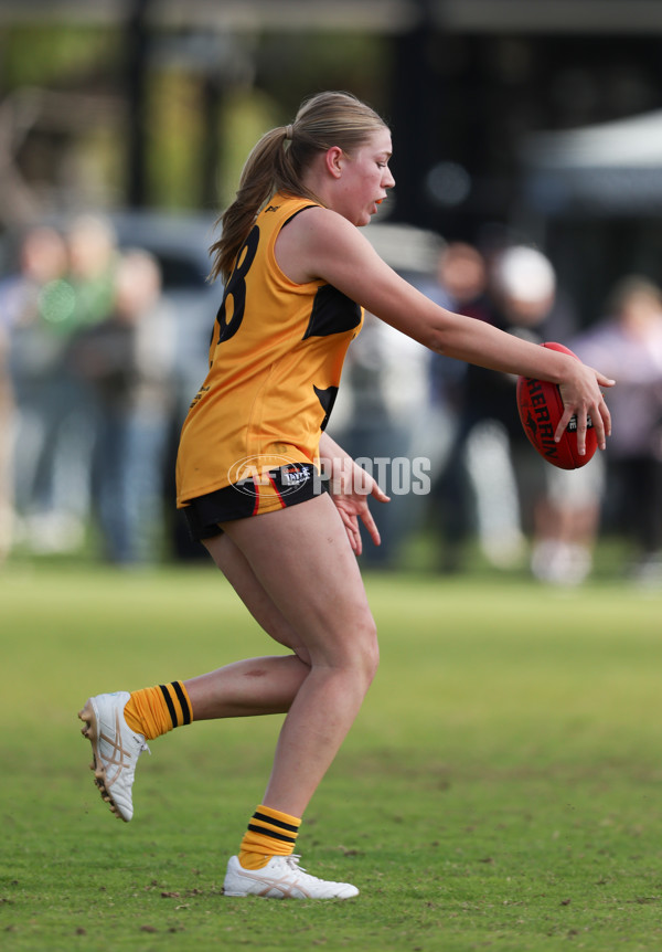 Coates League Girls 2024 Round 05 - Dandenong v Gold Coast SUNS Academy - A-48785091