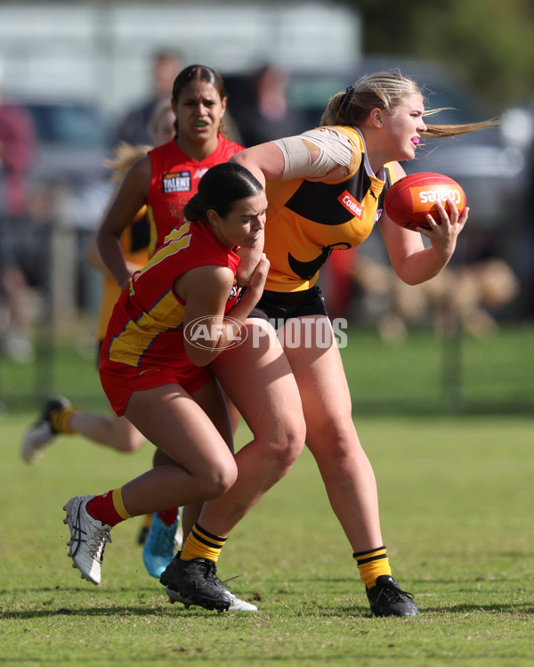 Coates League Girls 2024 Round 05 - Dandenong v Gold Coast SUNS Academy - A-48785092