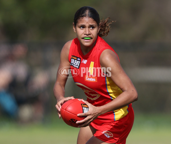 Coates League Girls 2024 Round 05 - Dandenong v Gold Coast SUNS Academy - A-48785093