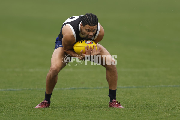 AFL 2024 Training - Western Bulldogs 090524 - A-49025399