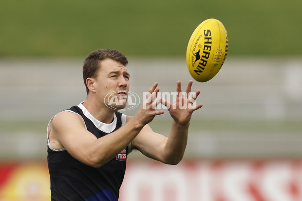 AFL 2024 Training - Western Bulldogs 090524 - A-49026053