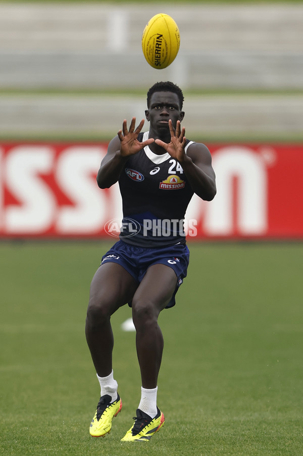 AFL 2024 Training - Western Bulldogs 090524 - A-49026084