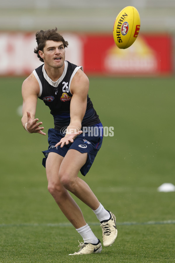 AFL 2024 Training - Western Bulldogs 090524 - A-49026089