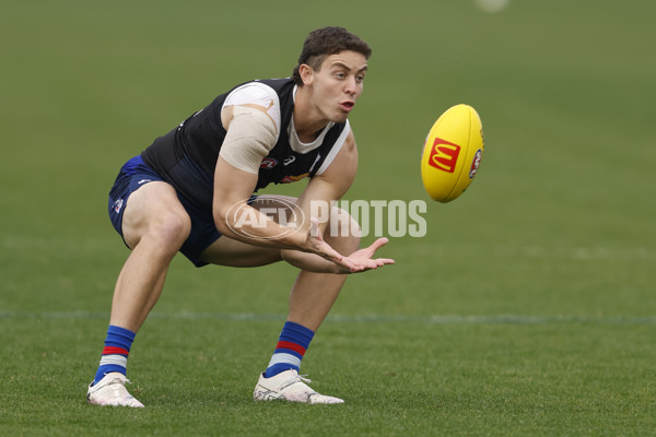 AFL 2024 Training - Western Bulldogs 090524 - A-49037423