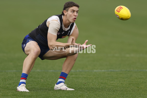 AFL 2024 Training - Western Bulldogs 090524 - A-49037426