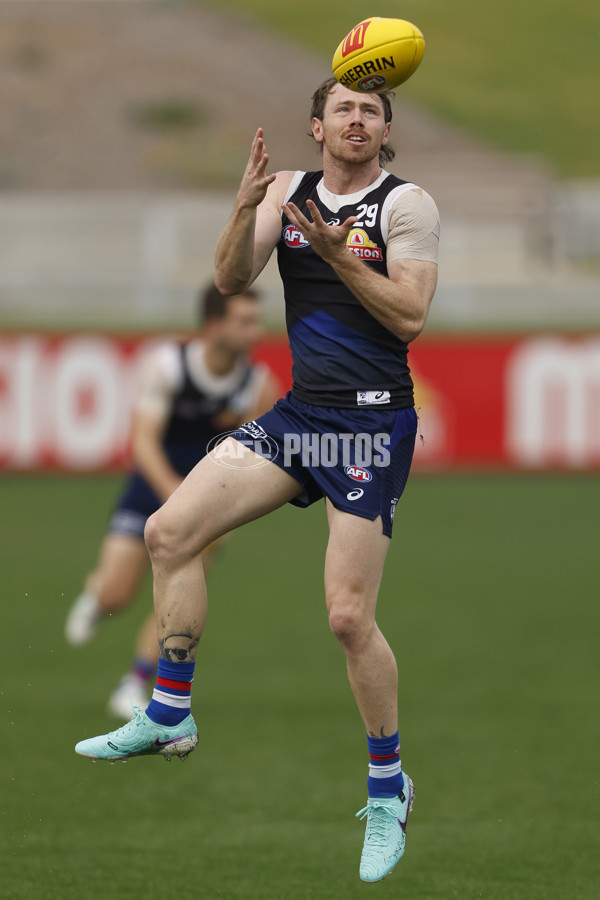 AFL 2024 Training - Western Bulldogs 090524 - A-49037430