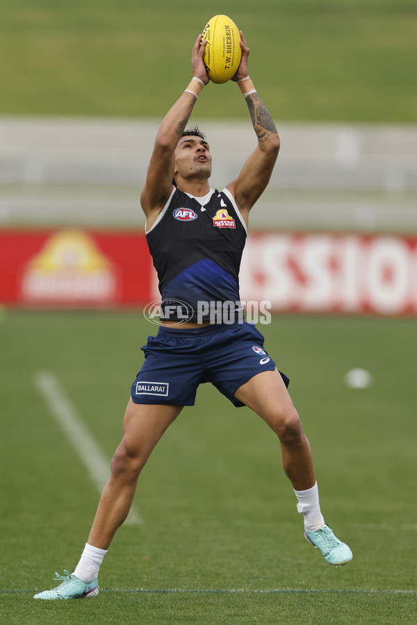 AFL 2024 Training - Western Bulldogs 090524 - A-49037432