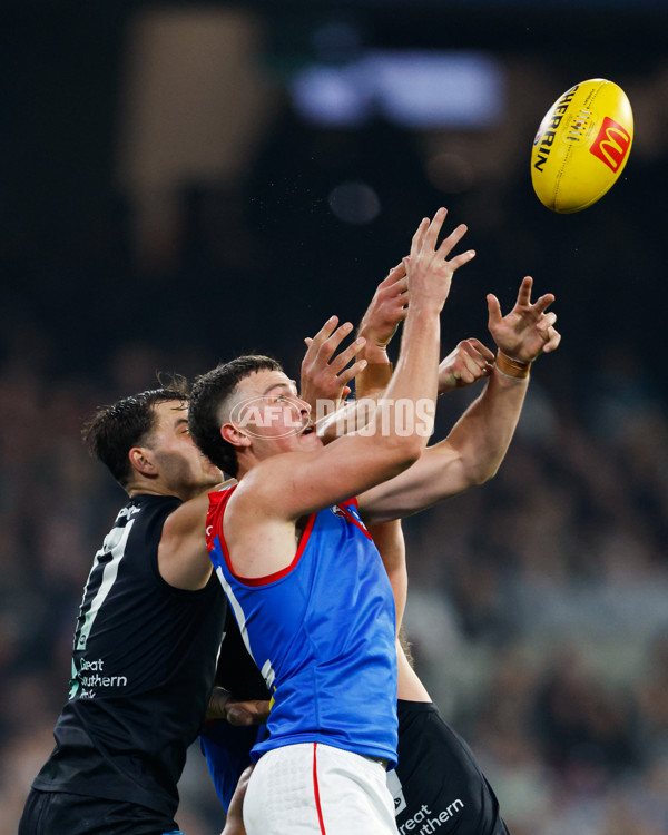 AFL 2024 Round 09 - Carlton v Melbourne - A-49048007