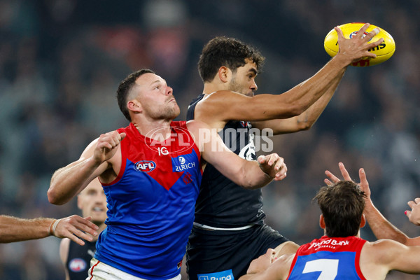 AFL 2024 Round 09 - Carlton v Melbourne - A-49048626