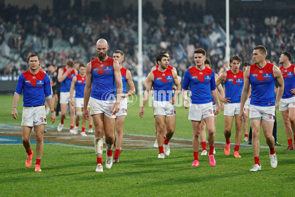 AFL 2024 Round 09 - Carlton v Melbourne - A-49051954