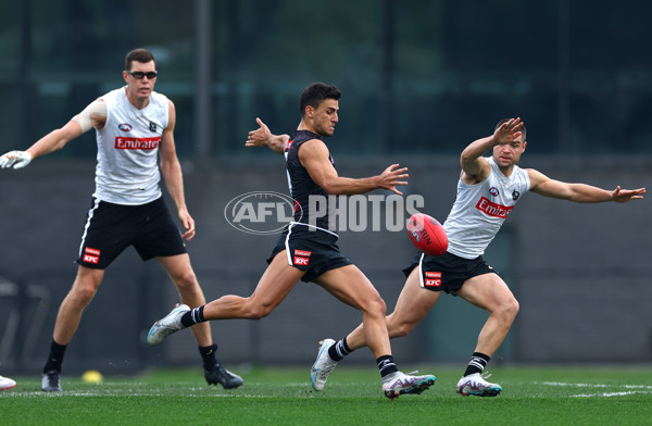 AFL 2024 Training - Collingwood 100524 - A-49061003