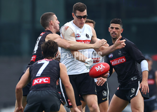 AFL 2024 Training - Collingwood 100524 - A-49061004