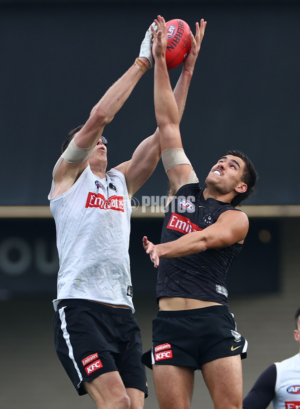 AFL 2024 Training - Collingwood 100524 - A-49061023