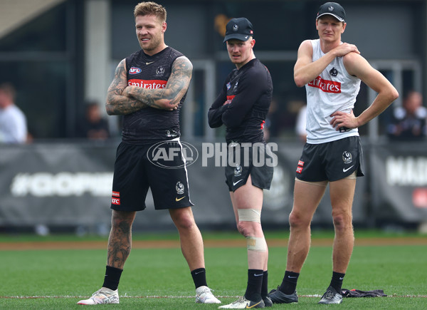 AFL 2024 Training - Collingwood 100524 - A-49064020