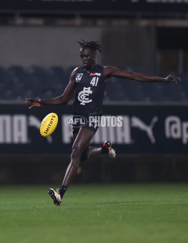 VFL 2024 Round 07 - Carlton v Casey Demons - A-49071860