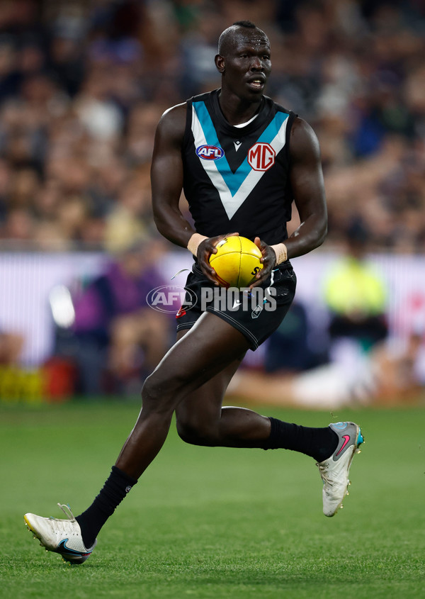 AFL 2024 Round 09 - Geelong v Port Adelaide - A-49071949