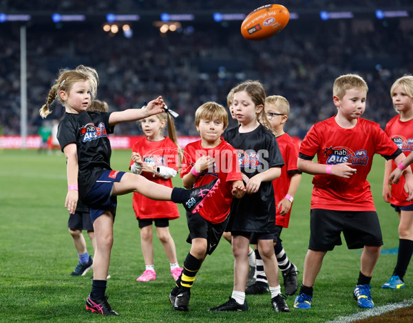 AFL 2024 Round 09 - Geelong v Port Adelaide - A-49077499