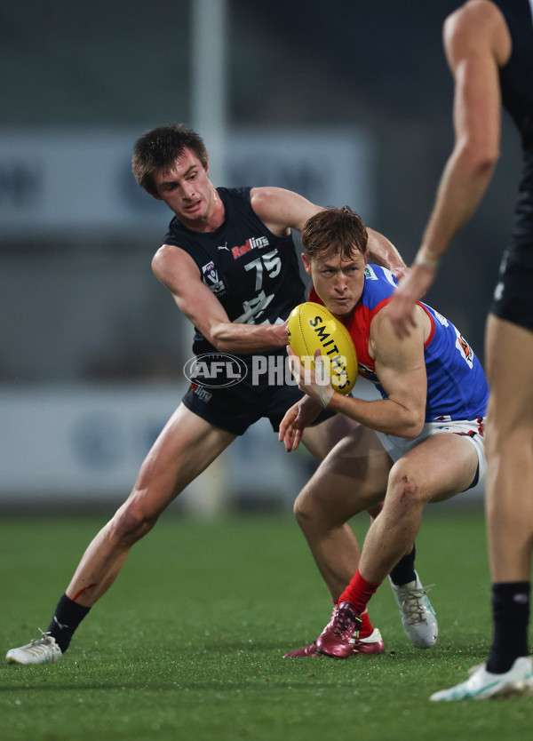 VFL 2024 Round 07 - Carlton v Casey Demons - A-49077993